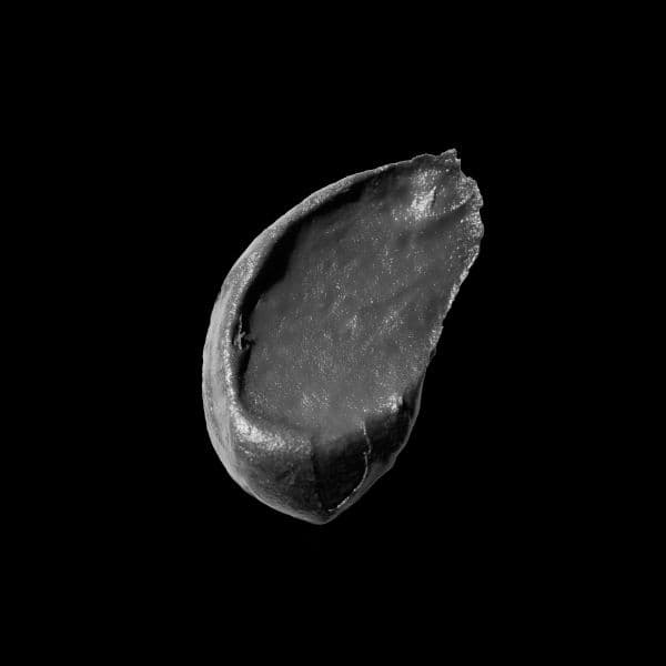 productos dermocometicos para rutina de skincare cosmeticos belleza salud de la piel acne arrugas manchas belihebe by doctora luisa obregon barranquilla colombia